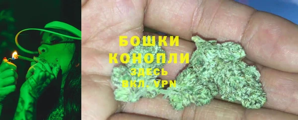 хмурый Осинники