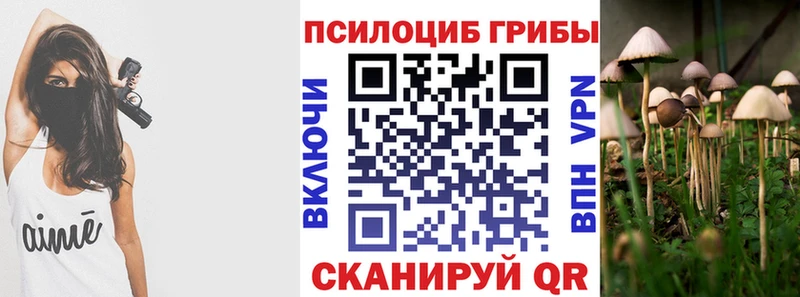 где можно купить наркотик  Ступино  МЕГА сайт  Галлюциногенные грибы Cubensis 